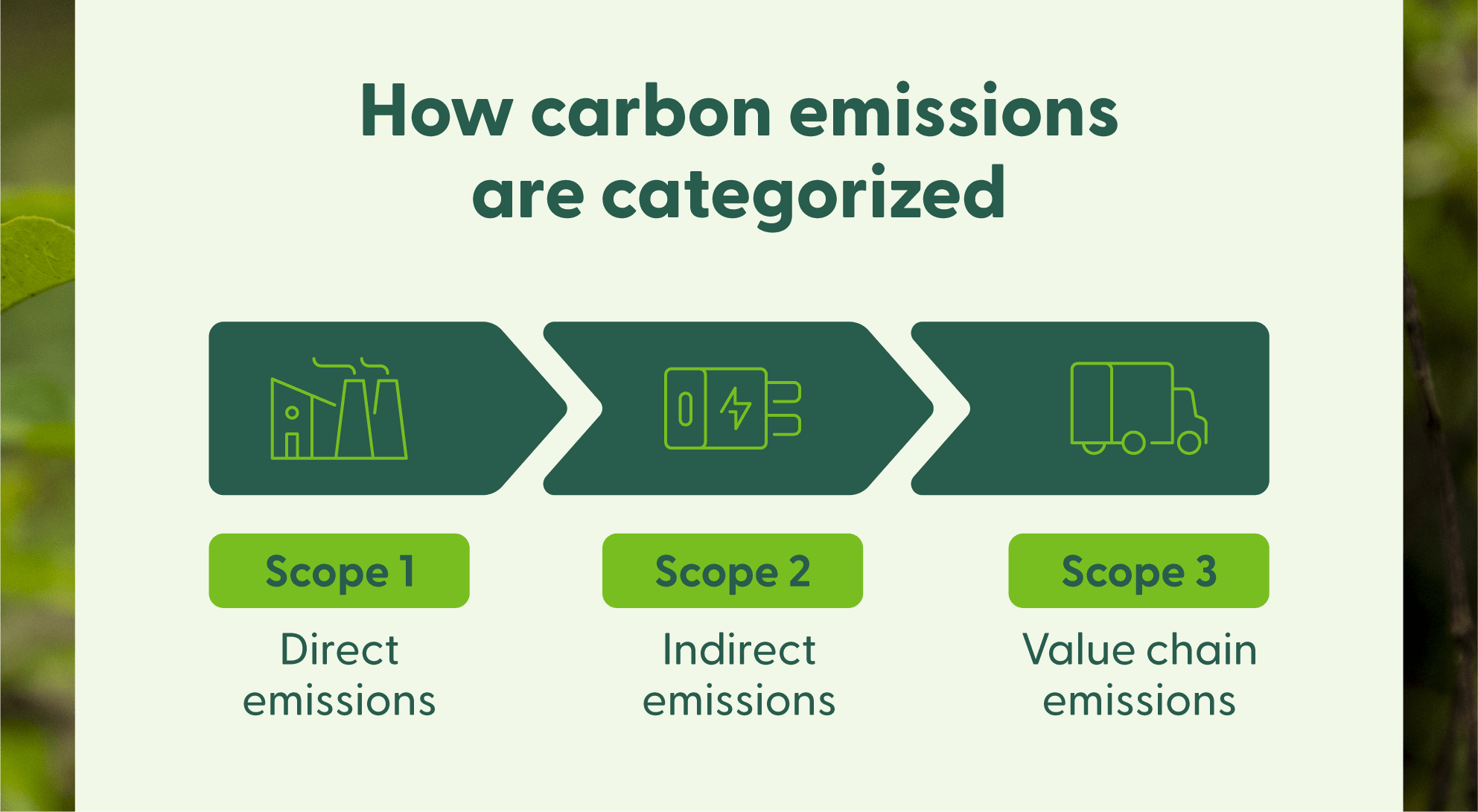 Carbon emissions are categorized in three scopes: direct emissions, indirect emissions, and value chain emissions.