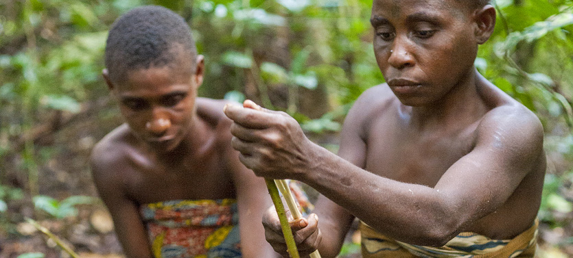 two Indigenous Baaka women craft with reeds in forest
