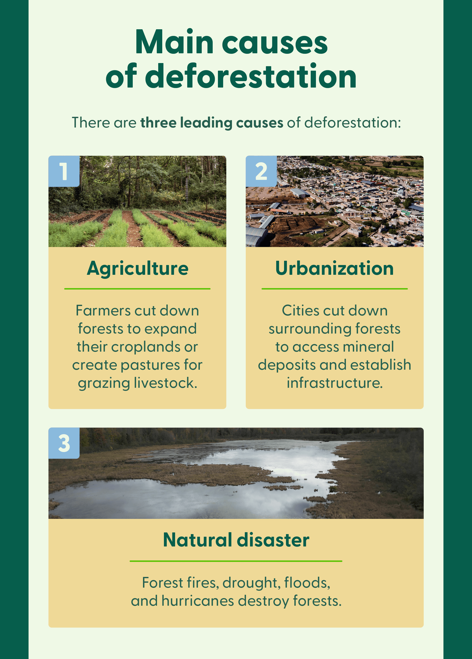 Three photos accompany a list of three leading causes of deforestation: agriculture, urbanization and natural disaster.