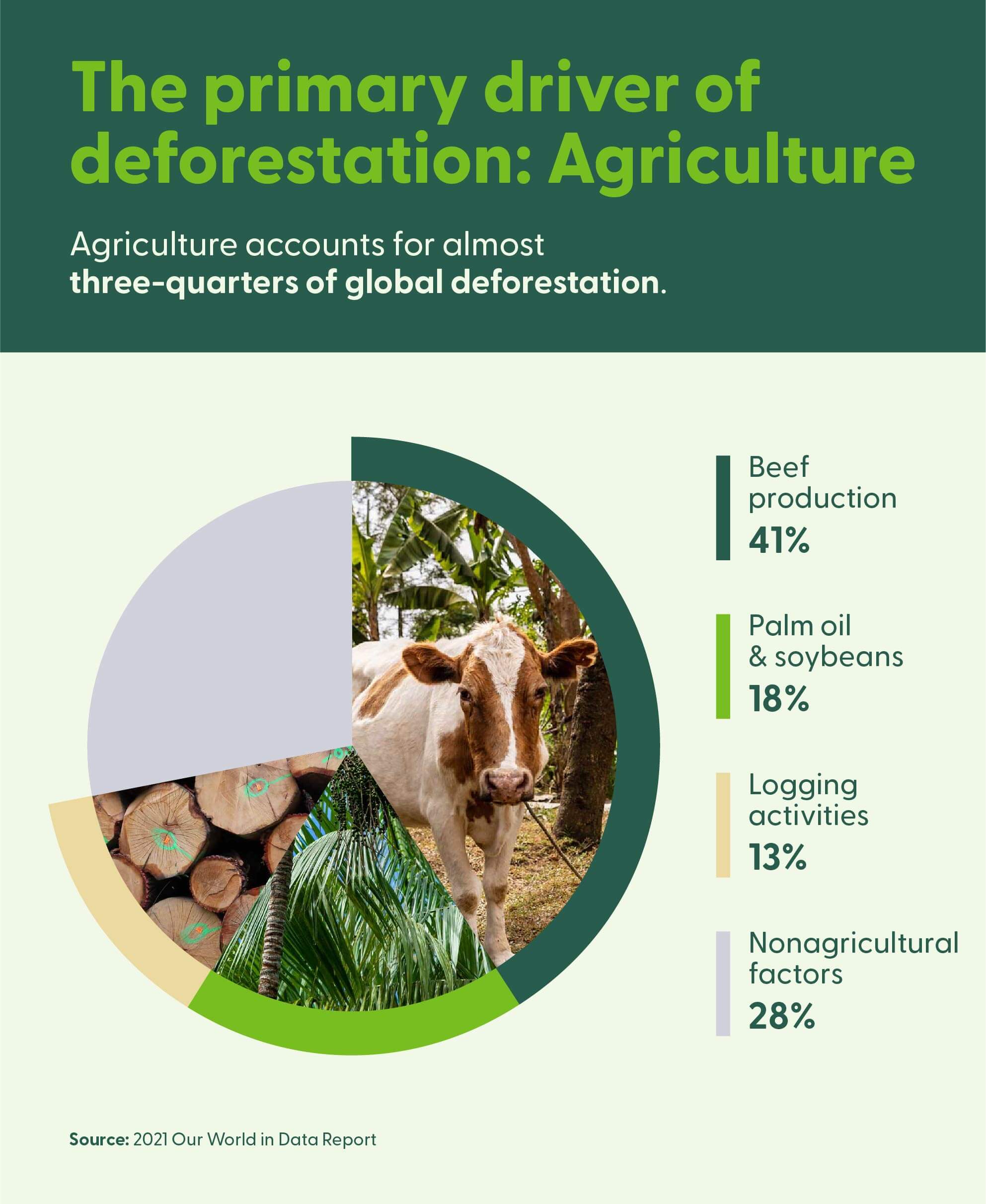 Graphic with a pie chart highlights the primary drivers of deforestation.