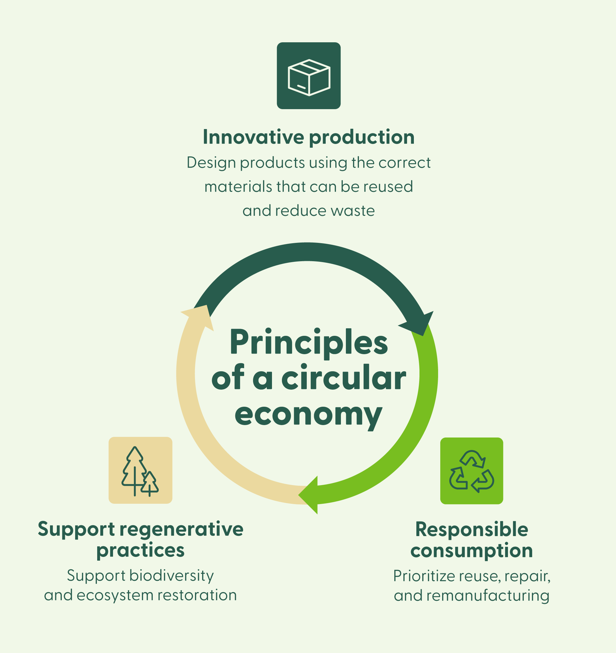 A graphic represents the key elements of a circular economy.