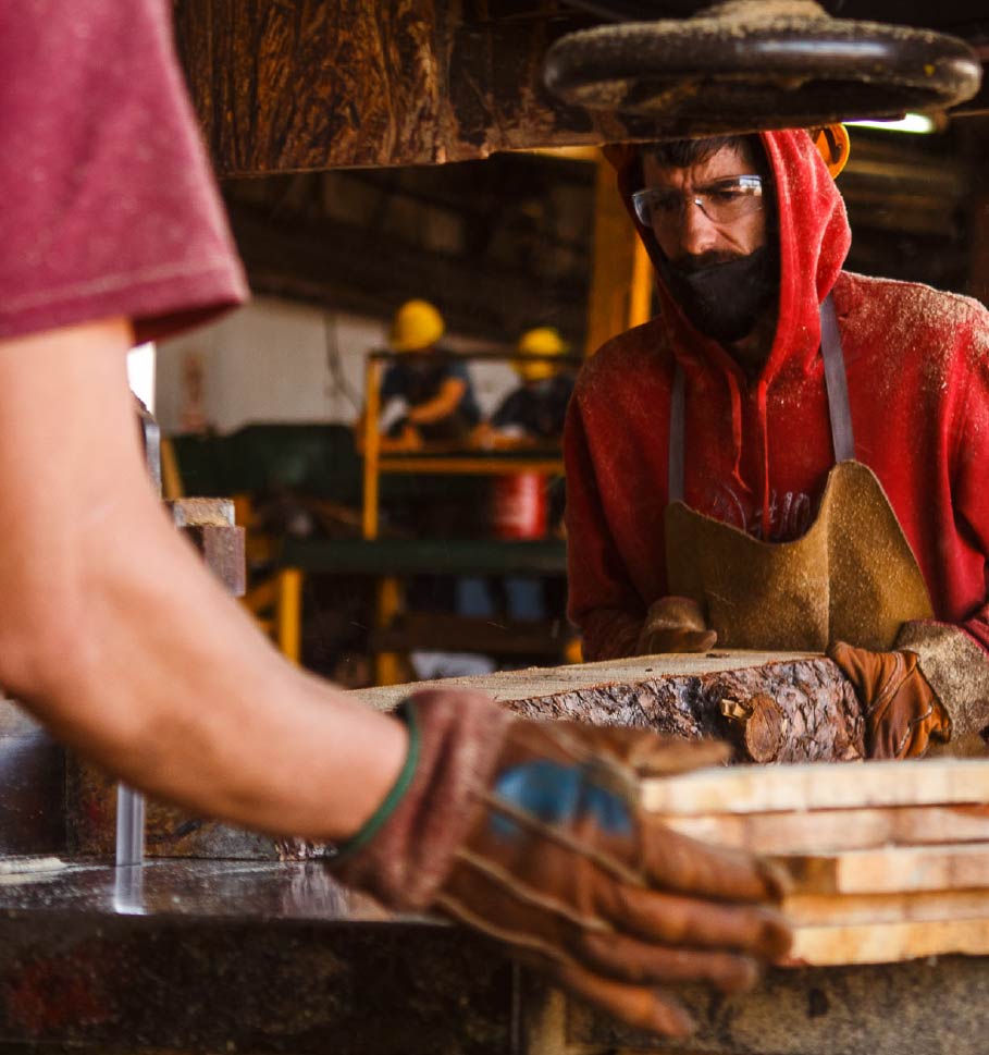 Two men push a partially-sawed log through a bandsaw to cut planks.