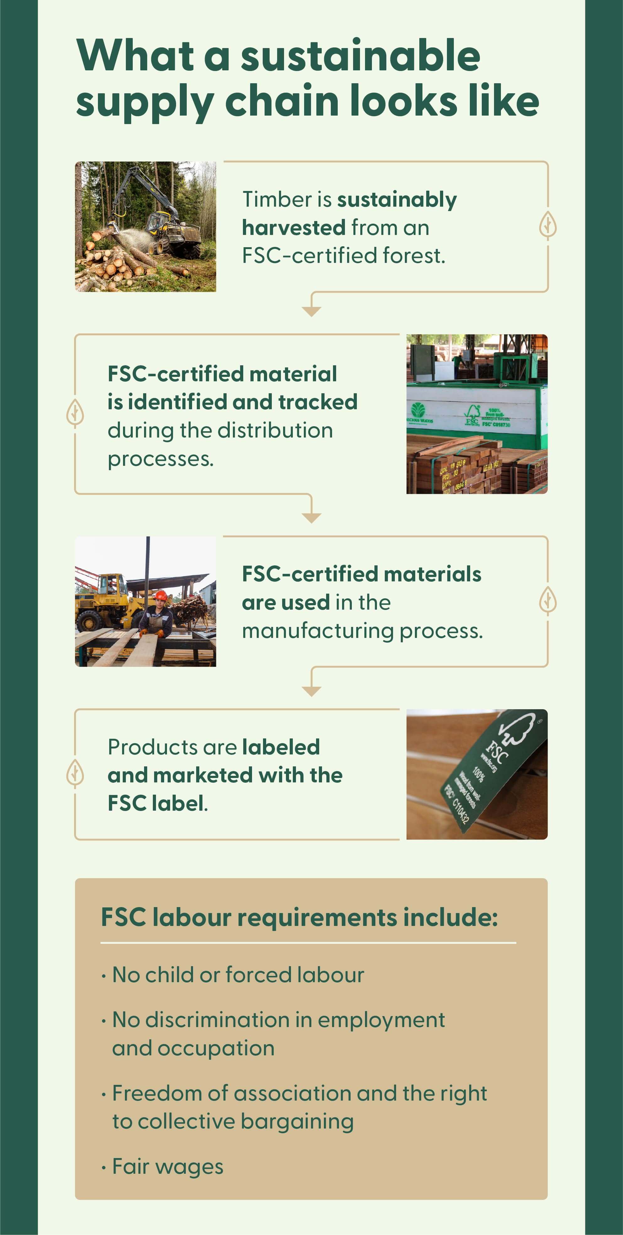 Flow chart showing what a sustainable supply chain looks like from sustainably harvested timber to the FSC label.