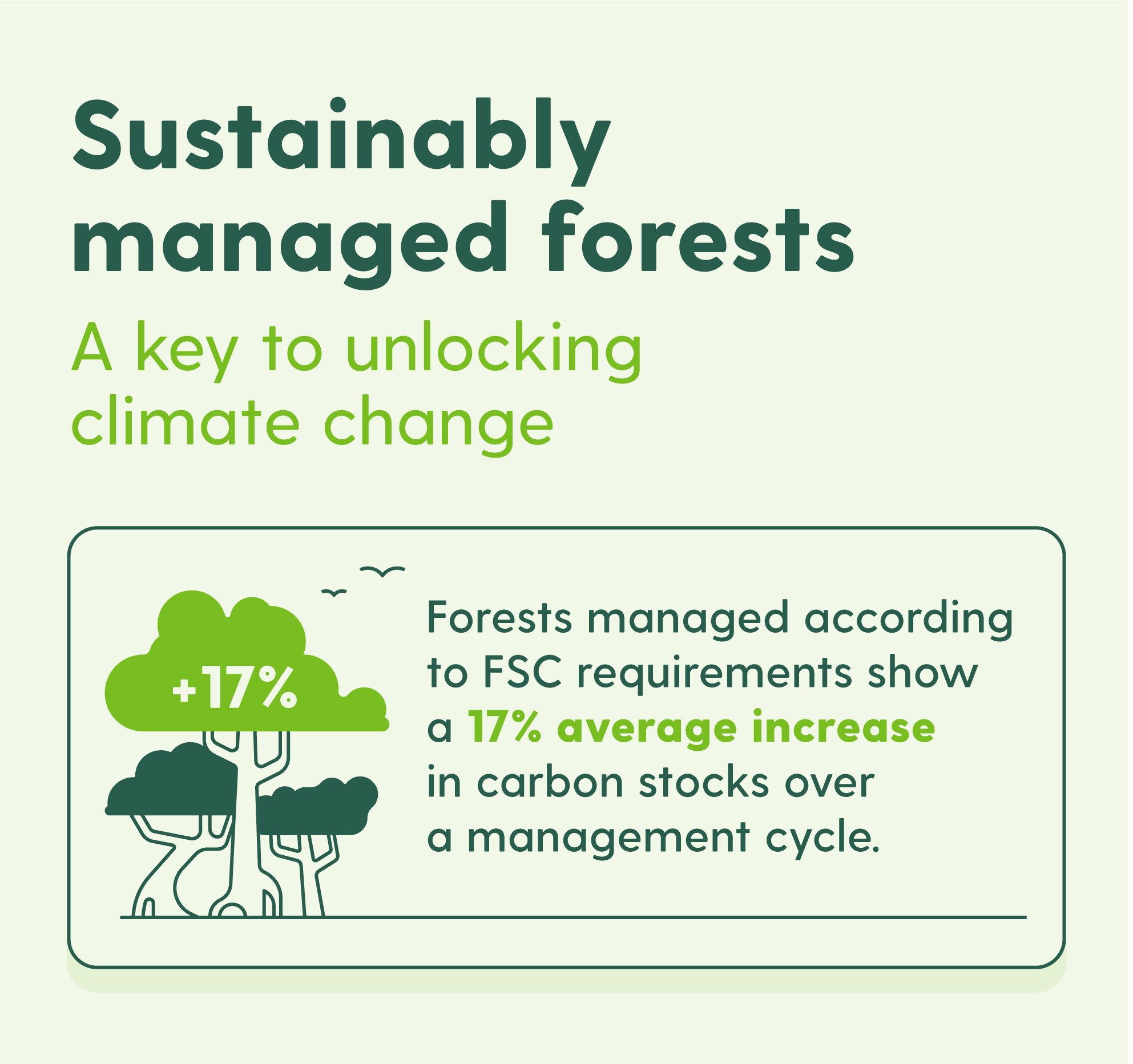 Forests managed according to FSC requirements show a 17 per cent average increase in carbon stocks over a management cycle.