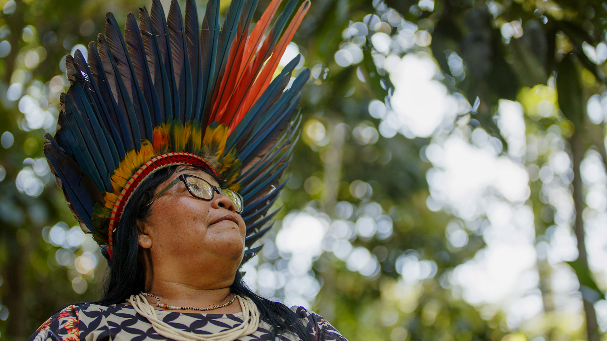 An Indigenous person wearing a headdress and glasses gazes up at the tree canopy.