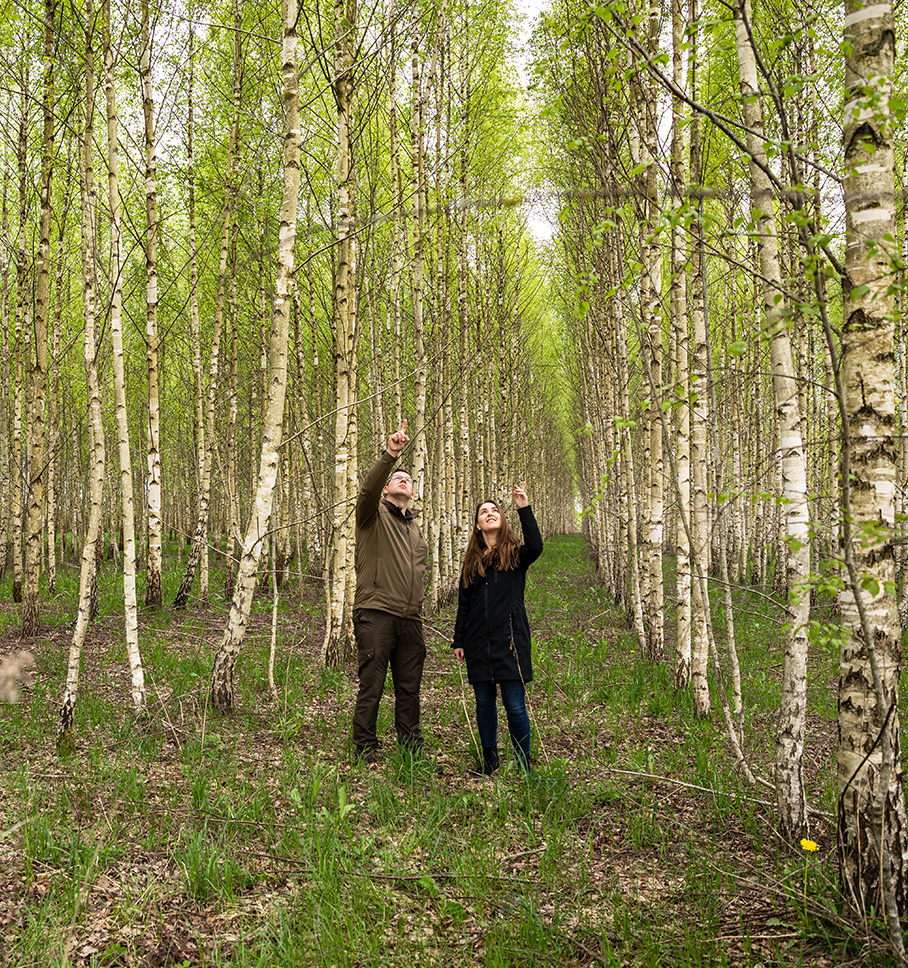 A man and woman look up and point at a collection of trees while standing in the forest.