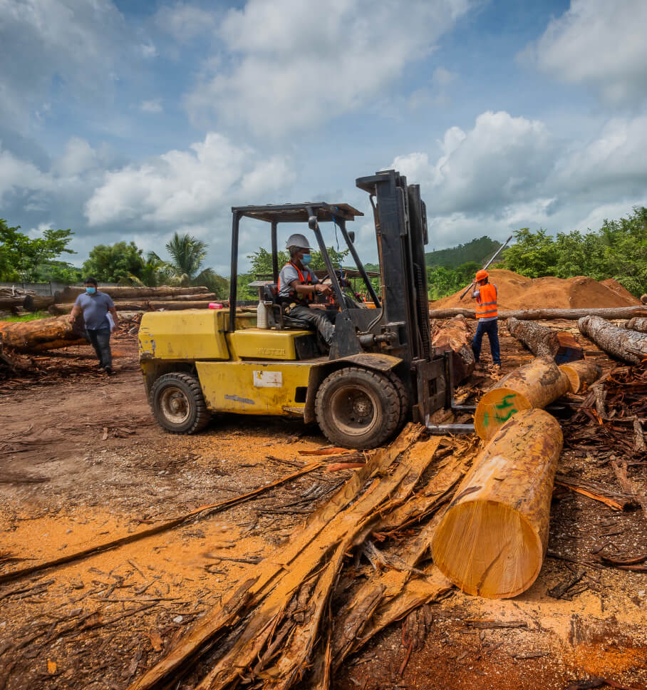 A bulldozer is shown moving logs out of a forest that’s been cleared, alluding to the topic of deforestation. 