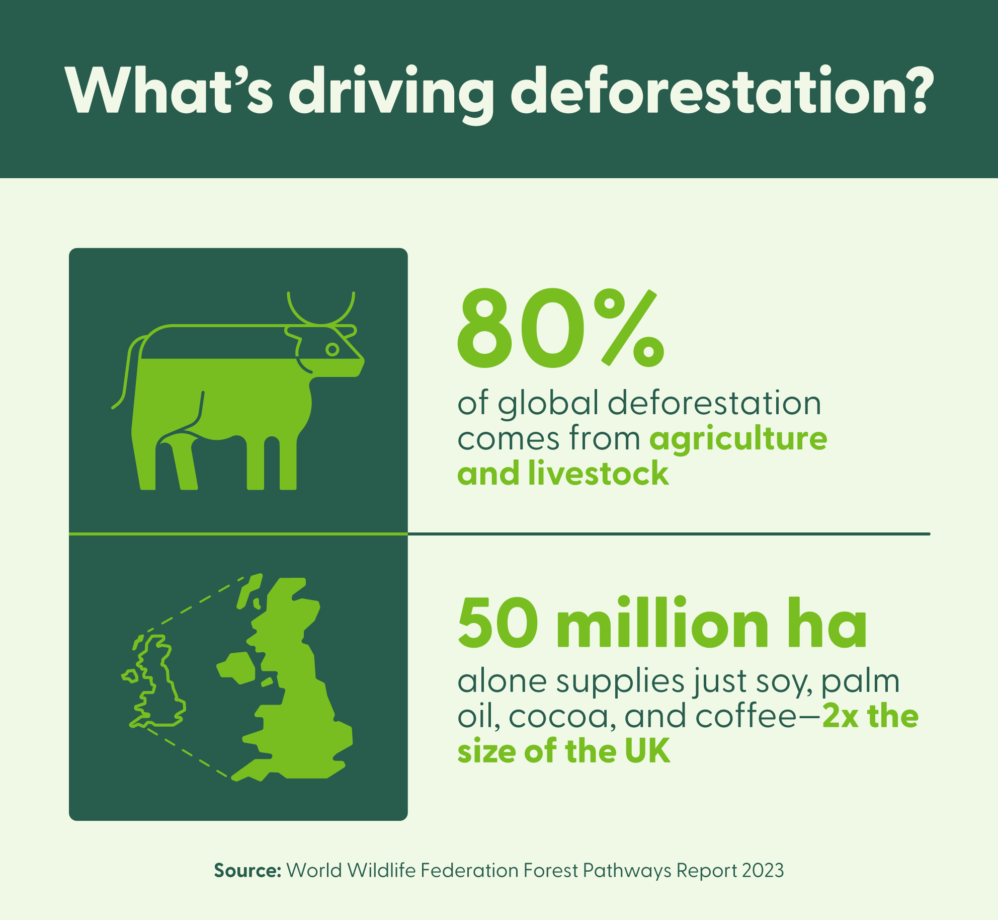 The tropics lost 6.7 million+ ha of primary rainforest in 2024 at a rate of 18 football fields per minute.