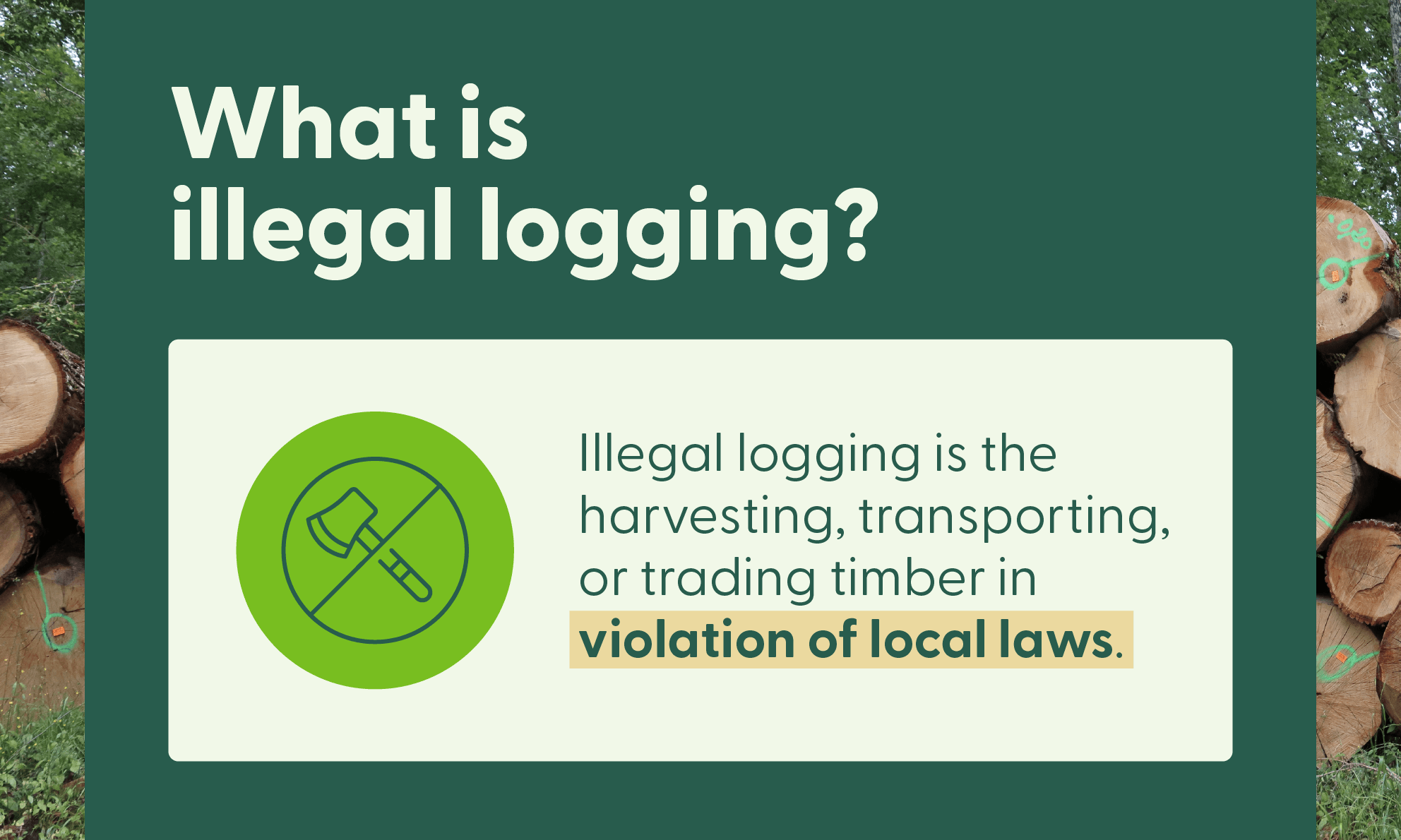 Graphic of a text box over an image of stacked logs explaining what illegal logging is. 