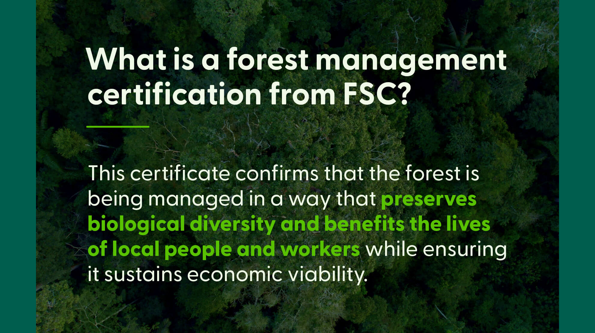 Graphic of text over a forested background explaining the FSC forest management certification.