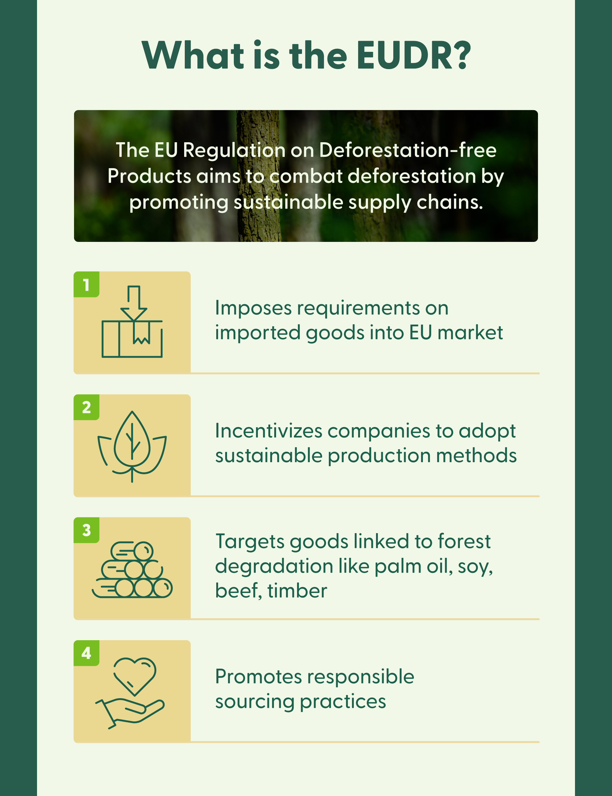 Four illustrations accompany a list explaining what the EUDR is and how to targets the issue of deforestation.