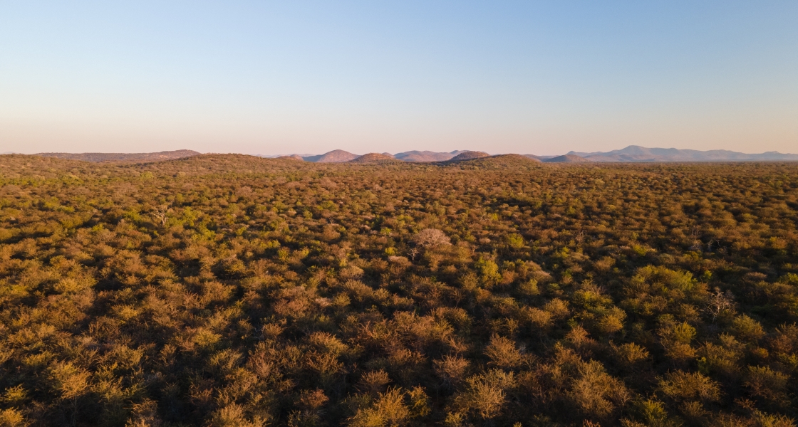 Namibia biomass