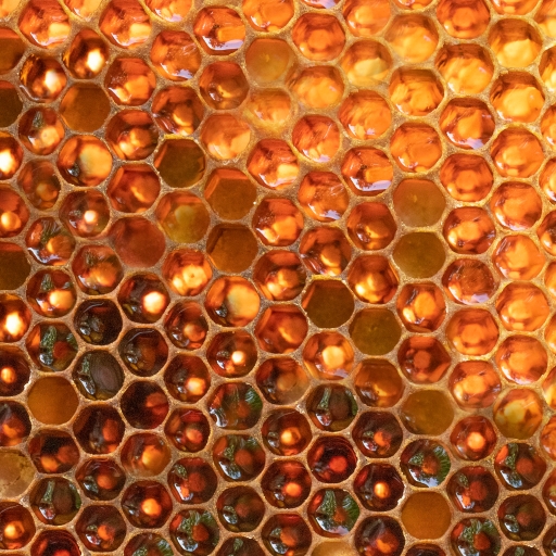 Close shot of honeycomb