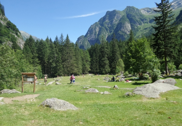 Highlights of ecosystem services project in FSC-certified forest in Lombardy, Italy