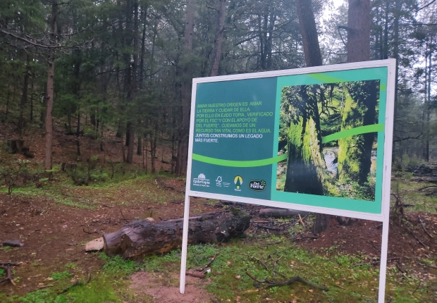 Ecosystem services project in Ejido Topia, an FSC-certified forest in the North of Mexico