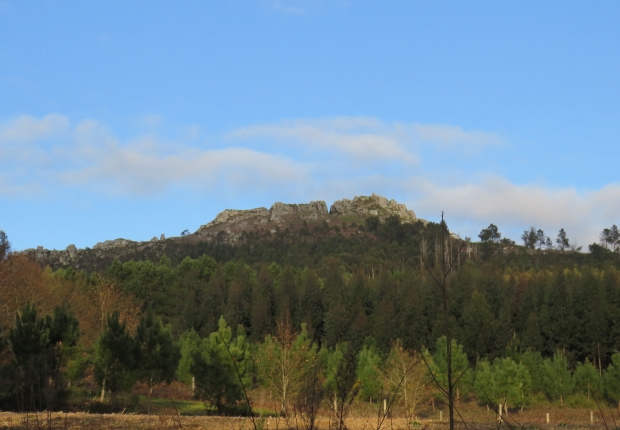 Ecosystem services from an FSC-certified forest in Monte del Pico Sacro, Spain