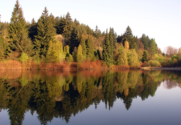 Lake in Forest in Autumn 