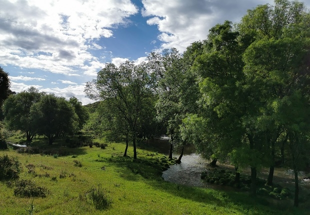 Highlights of ecosystem services project in Canadillas, Spain