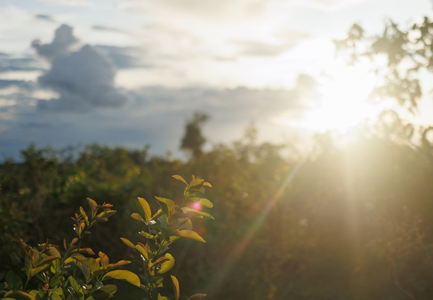 The sun shines through a partly cloudy blue sky with rays of light cascading over lush greenery.