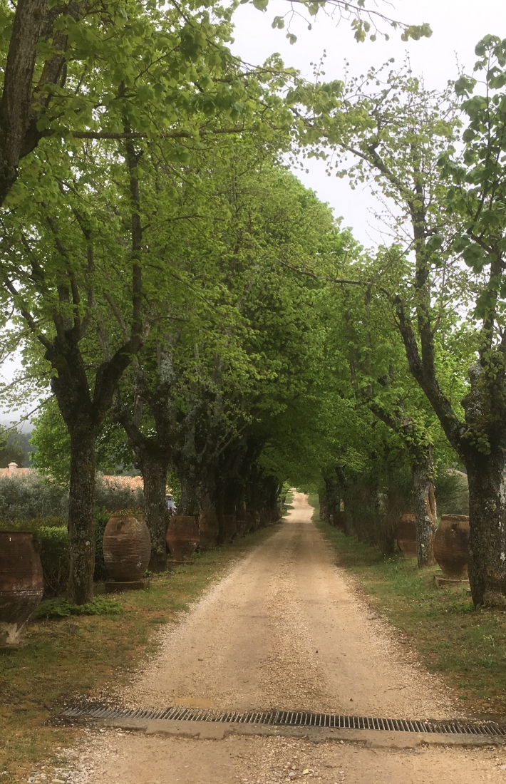 Ecosystem services project in Cavalerie Forests, France