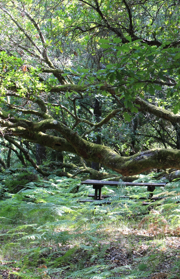 Ecosystem services from Geres community areas, Portugal