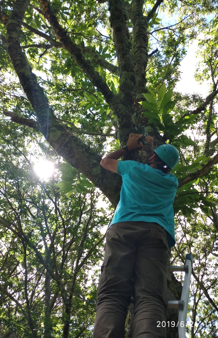 Ecosystem services from a FSC-certified forest in Galicia, Spain