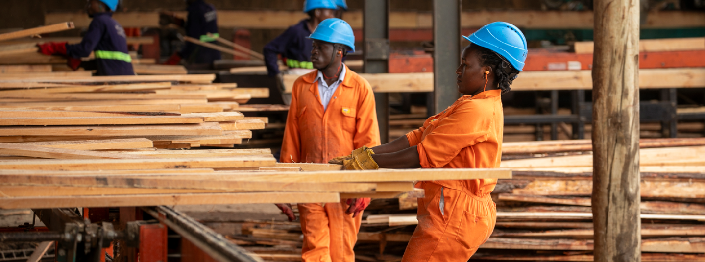 Strengthening trust across forest supply chains