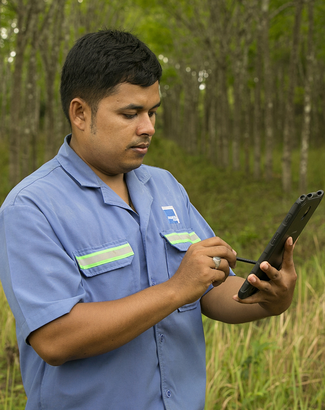 Worker standing in a forest doing an audit