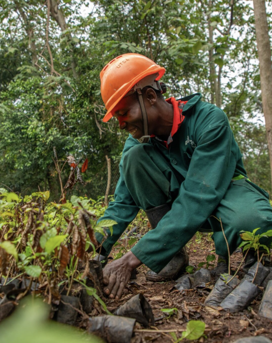 Ugandan forester cares for saplings