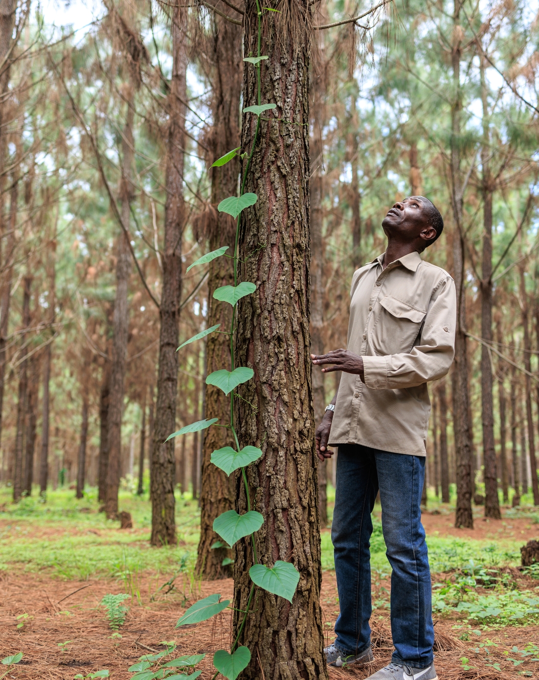Uganda sourcing