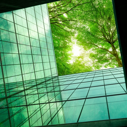 Upwards shot of glass building leading up to upwards shot of forest in spring 