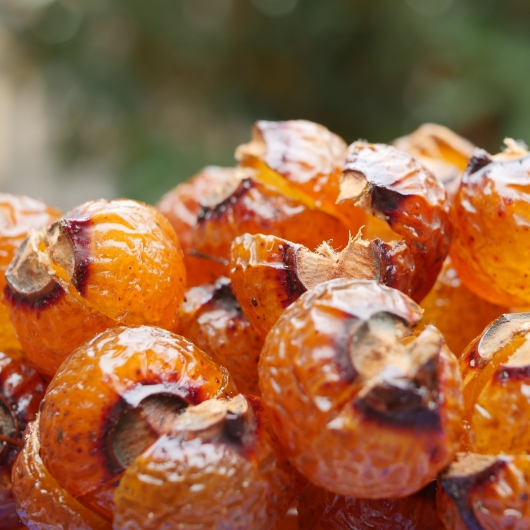 Close-up of soapnuts