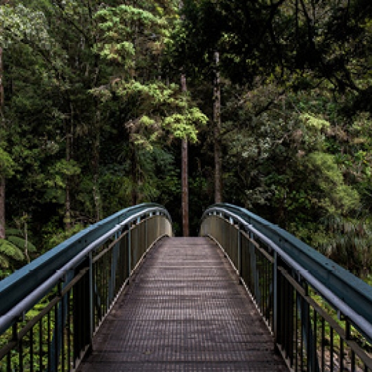 Flagship publication bridge