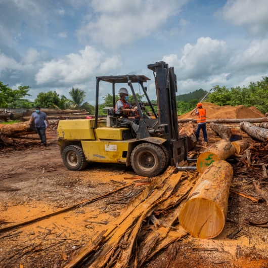 A bulldozer is shown moving logs out of a forest that’s been cleared, alluding to the topic of deforestation.