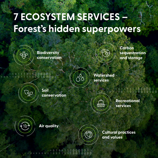 7 ecosystem services_VI for FMs