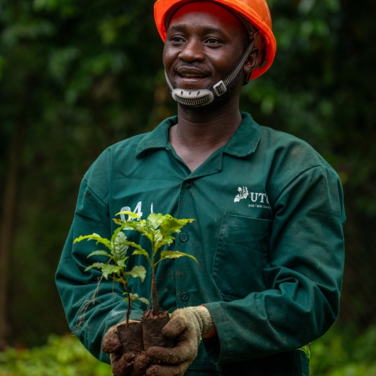 A man carrying plant saplings in a forest