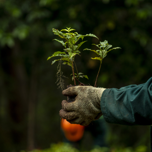 Verified Impact Uganda