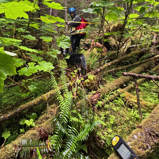 Taan Forest ES Canada