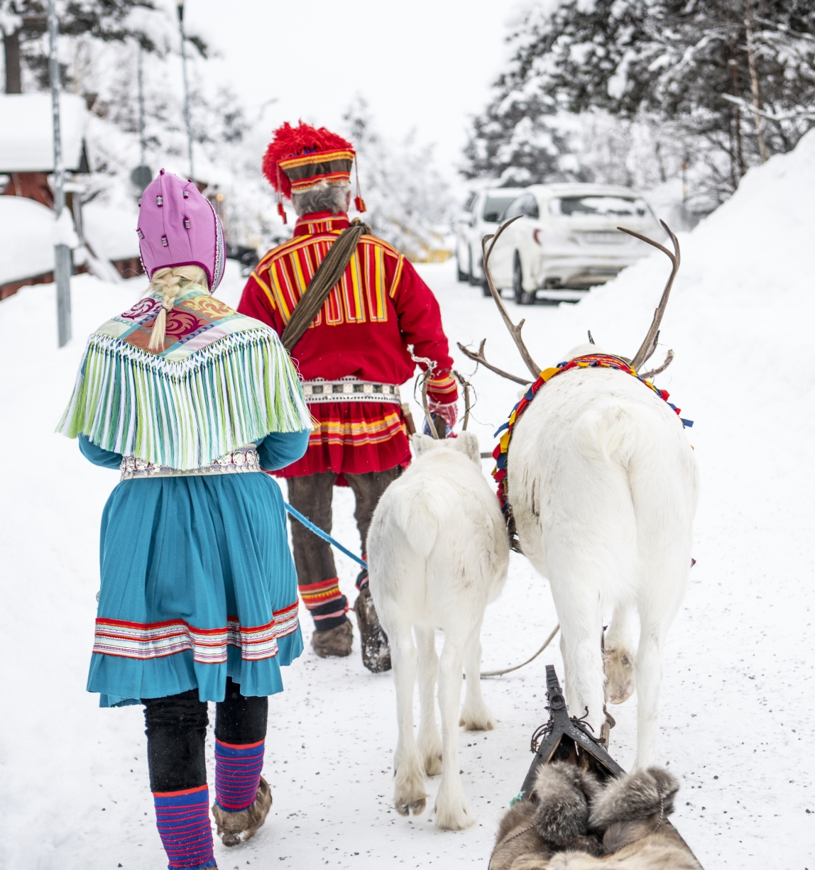 A man and woman in Sami traditional clothing walk in snow alongside bridled reindeer