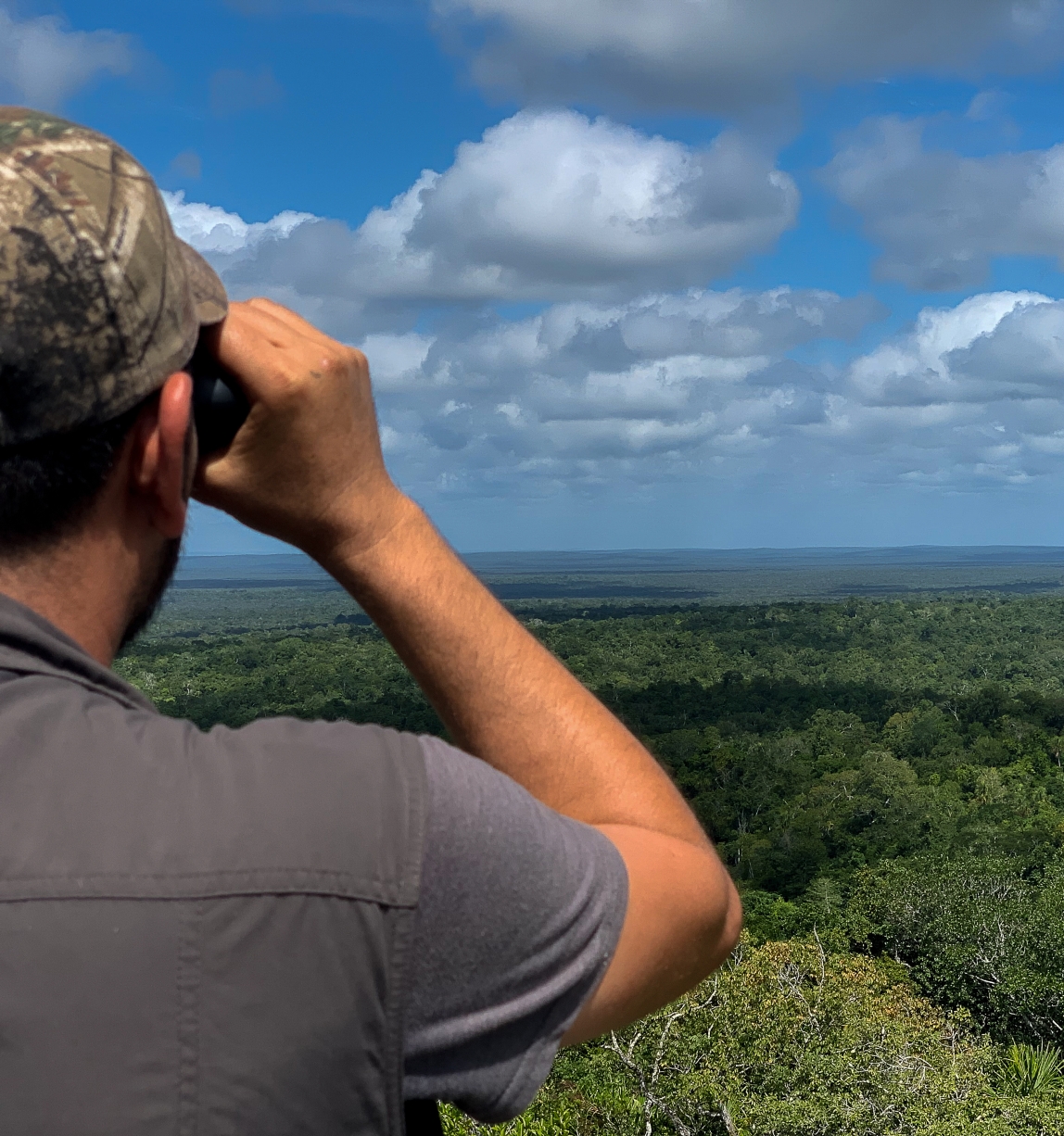 man with binoculars looking out on forest canopy 