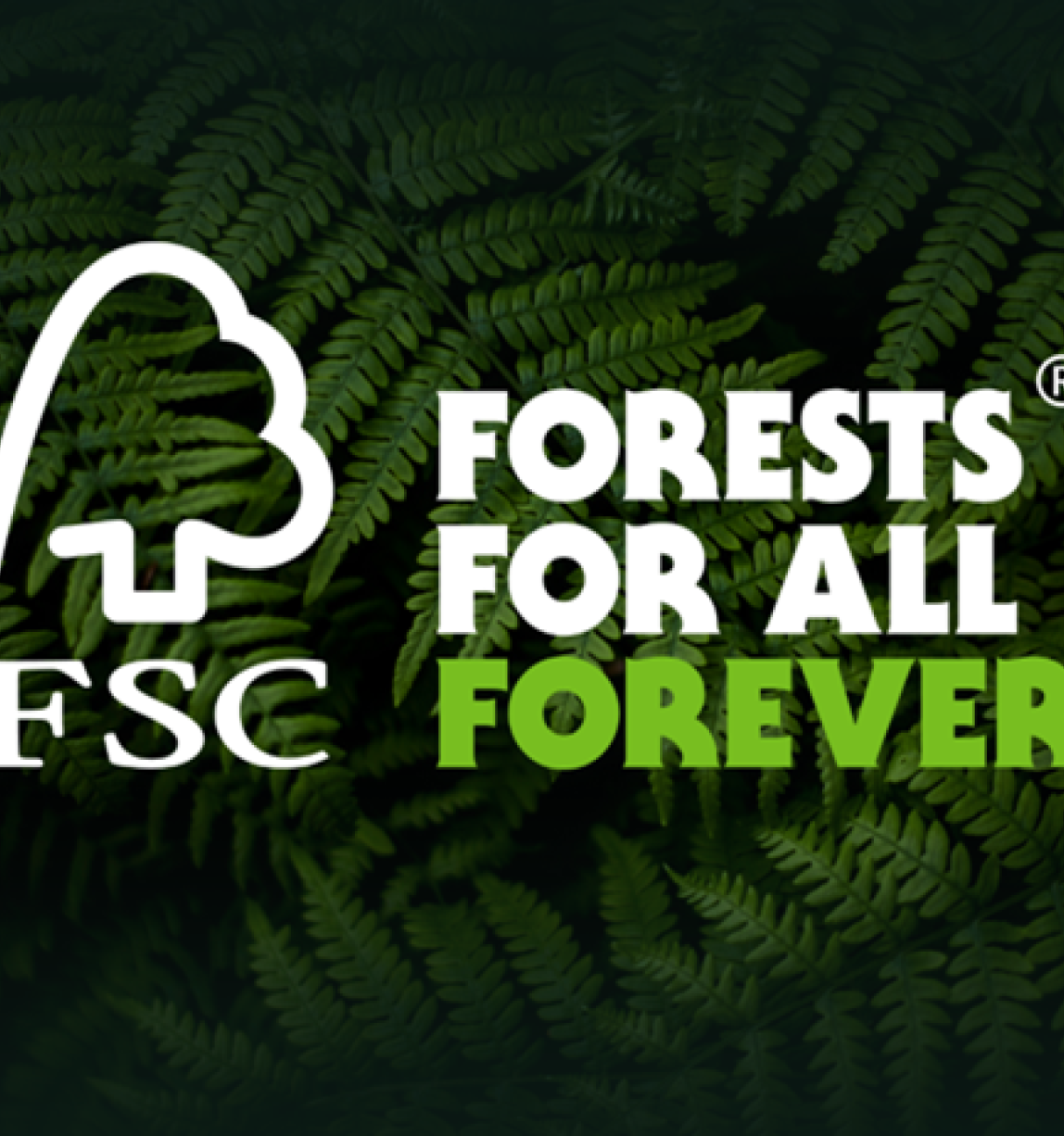 FSC logo 