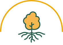 root icon 