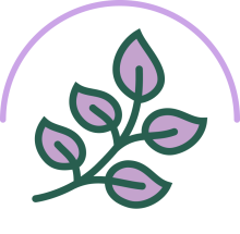 Branch_Out