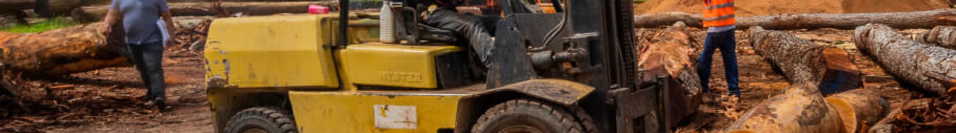 A bulldozer is shown moving logs out of a forest that’s been cleared, alluding to the topic of deforestation.