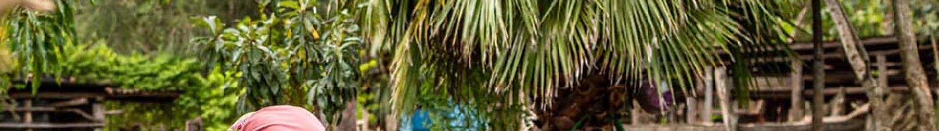 Two women harvest plants while surrounded by palm trees and growth. 