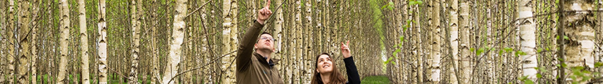 A man and woman look up and point at a collection of trees while standing in the forest.