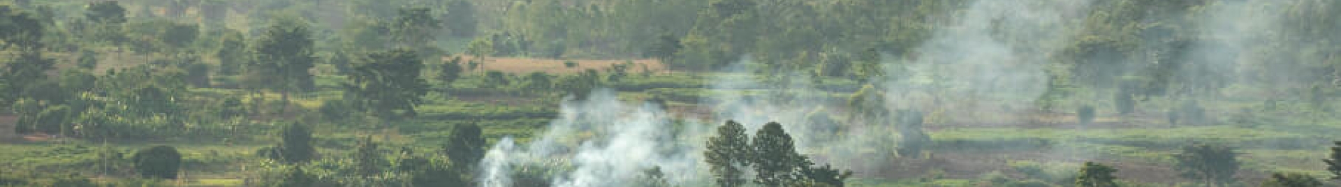 An image of a forest landscape with smoke rising, indicating burning vegetation.