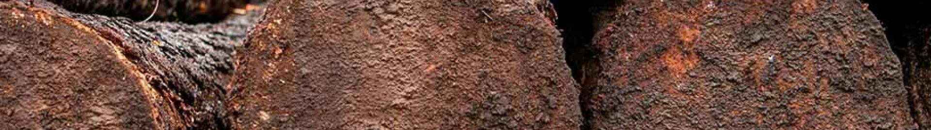 Large logs sit stacked while someone operates heavy machinery in the background.