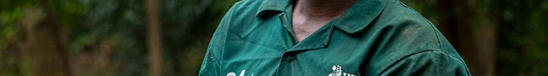 An image showing a person holding a tree seedling as part of reforestation efforts.