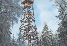 Watchtower in a forest